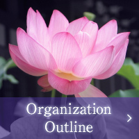 Organization Outline